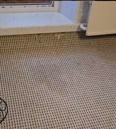 Когда кажется, что ковролин уже не спасти… мы просто берёмся за работу. — изображение 1